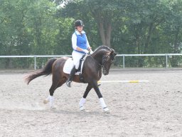 IMG_1391_web
